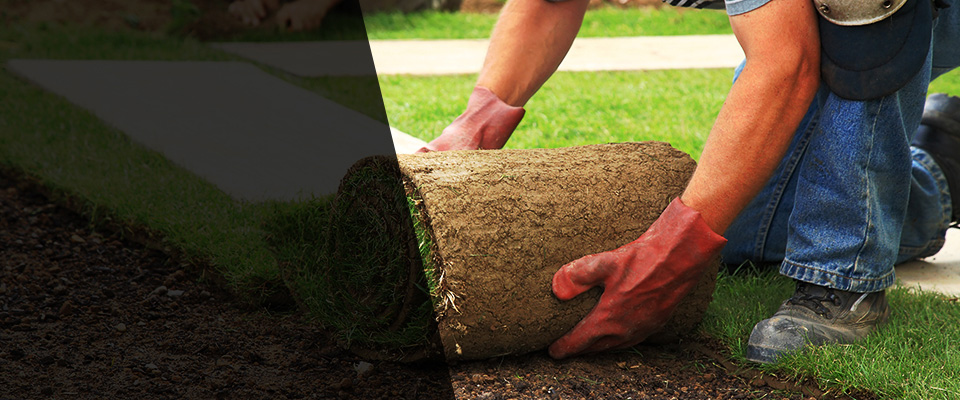 Baxter Springs Landscapers